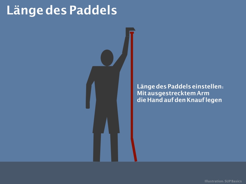 Paddel müssen beim Stand Up Paddeln immer an die Größe des Paddlers angepasst sein.