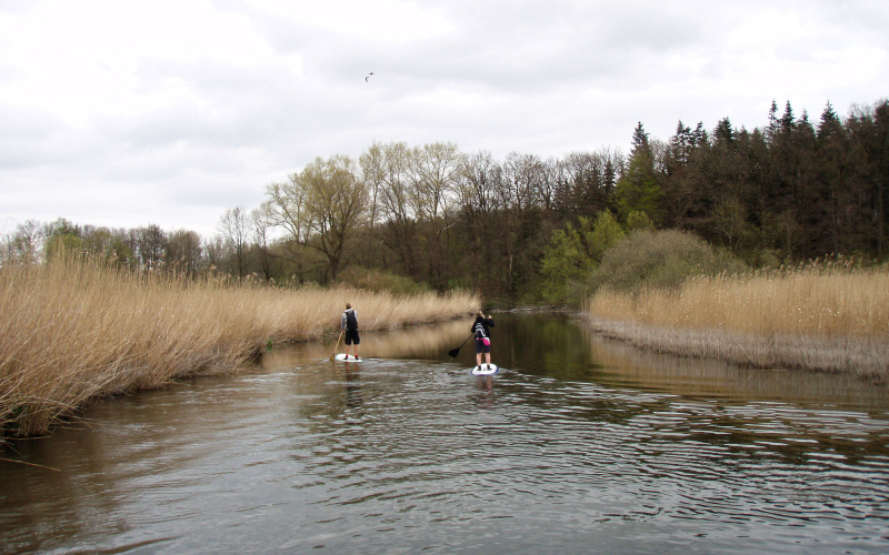 Paddel Tipp - SUP-Tour Schwentine: Auf der Unteren Schwentine vom Kirchsee in Preetz zum Altarm an der Oppendorfer Mühle in Schwentinental.